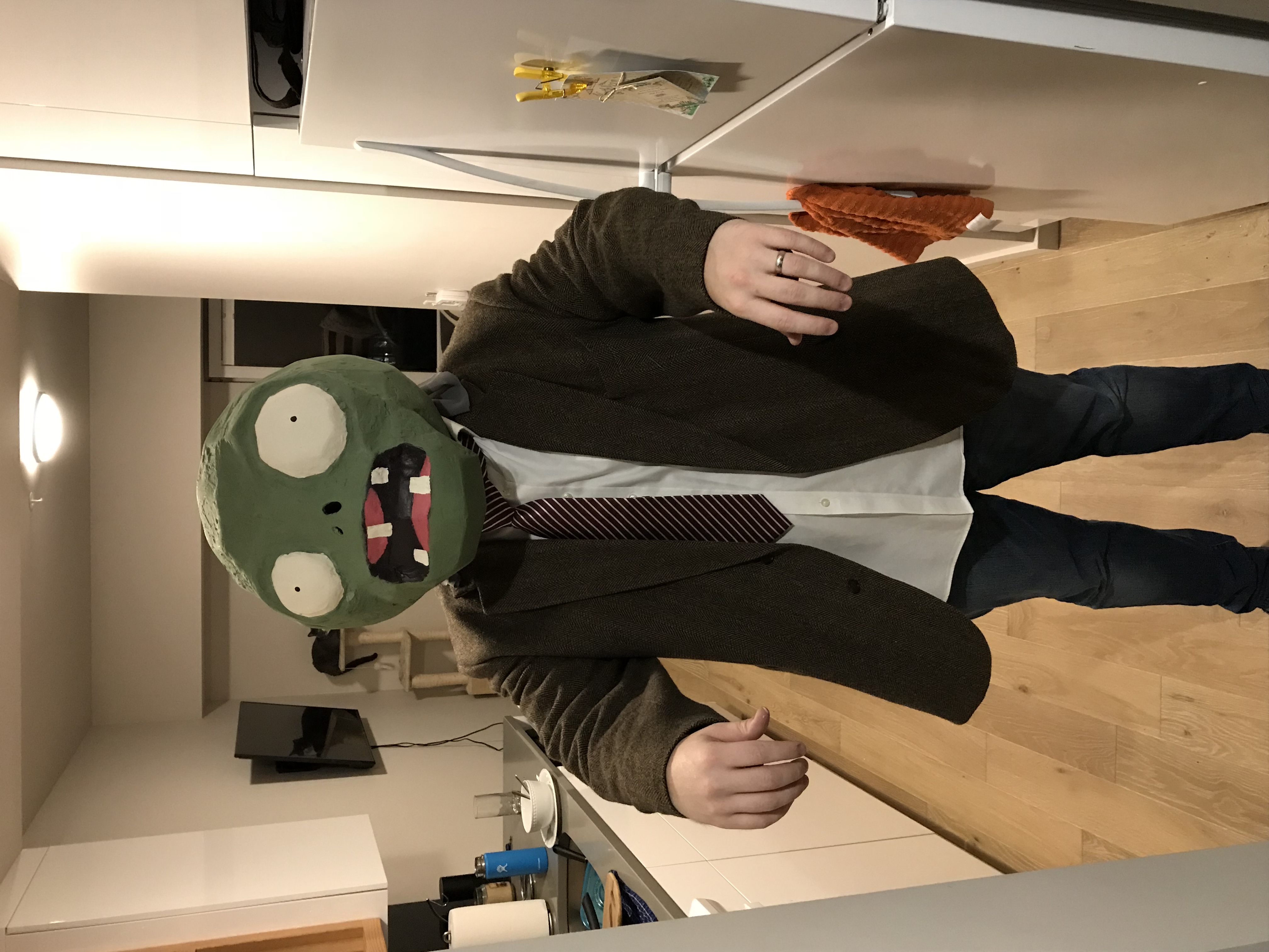 Past Halloween Costume Collection - Image 5